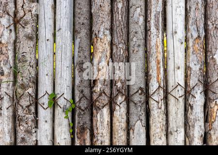 Alter grungiger dunkler Holzzaun aus Plattenplatten mit rostigen Klammern. Vorderansicht, Hintergrundfotostruktur Stockfoto