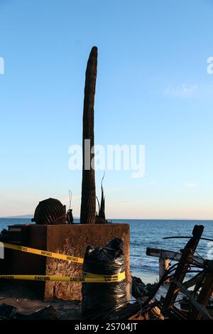 Los Angeles, Usa. Januar 2025. Kakteen verbrannt durch das Palisades Feuer. Katastrophengebiete im Stadtteil Pacific Palisades nach dem Waldbrand, der am 7. Januar 2025 in Los Angeles in den Santa Monica Mountains ausbrach. Foto: Christophe Michel/ABACAPRESS. COM Credit: Abaca Press/Alamy Live News Stockfoto