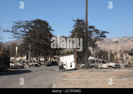 Los Angeles, Usa. Januar 2025. Autos und Bäume brannten in Altadena ab, nachdem das Eaton-Feuer durchbrach. Katastrophengebiete in Pasadena und Altadena nach dem Durchzug des Eaton-Feuers nordöstlich von Los Angeles, der am dienstag, den 7. januar 2025 in Los Angeles begann. Foto: Christophe Michel/ABACAPRESS. COM Credit: Abaca Press/Alamy Live News Stockfoto