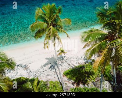 Urlaub Sommerparadies mit Malediven tropischen Strand auf Insel. Reiseurlaubskonzept. Stockfoto