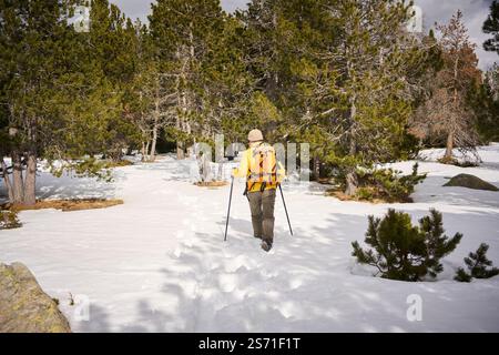 Wanderer wandern auf verschneiten Waldwegen im Winter Stockfoto