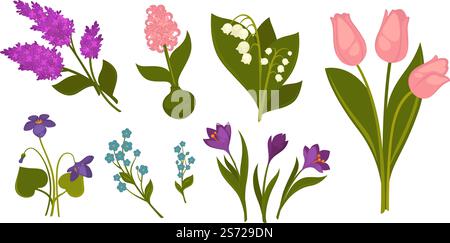 Schneeglöckchen und Krokus, Tulpen und Hyazinthenblüten in der Blüte. Isolierte Flora in Blüte, Sommer- und Frühlingsjahreszeitenbelebung der Natur. Pflanzen im Blumenladen, Weihnachtsgeschenk. Vektor in abgewickelter Form. Frühlingsblumen in Blüte, Krokus und Schneeglöckchen Stock Vektor
