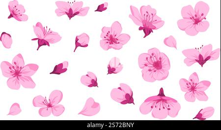 Sakura Blüte und Flora, isolierte Blüten und Blätter mit zarten Blütenblättern. Nahtloses Muster oder Drucken, Tapeten oder Umhüllungen. Japanische Botanik-Dekoration, Zen-Garten mit Kirsche. Vektor in abgewickelter Form. Kirschblüte, Blüten und Knospen mit Blütenblättern Stock Vektor
