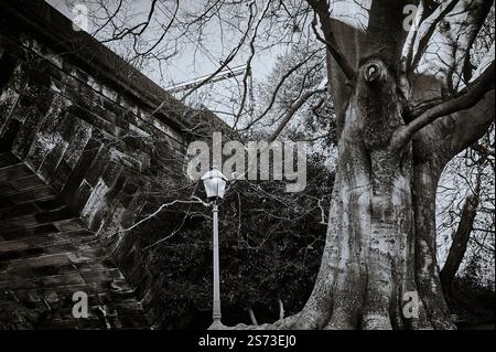 Eisenbahnbrücke und Straßenlaterne im viktirischen Stil neben dem alten Baum Stockfoto