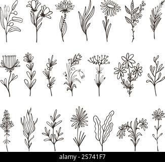Isolierte dekorative Blumenzweige. Wildblumenzweig handgezeichnet, Kraut und Blatt. Lineare organische Blumen Design Elemente, Kunstkranz und Lorbeervektor Set. Illustration der Blumendekoration der Zweige. Isolierte dekorative Blumenzweige. Wildblumenzweig handgezeichnet, Kraut und Blatt. Lineare organische Blumen Design Elemente, Kunstdetails von Kranz und Lorbeer neoterischen Vektor Set Stock Vektor