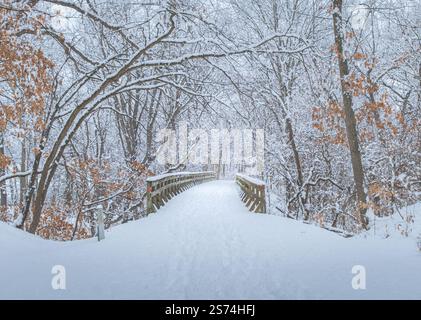 Wunderschöner Blick auf den schneebedeckten Park im Mittleren Westen mit einer Brücke nach dem Wintersturm; Bäume Bogen über den Fußweg; verwelkte Blätter auf Bäumen Stockfoto