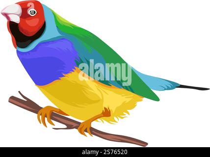 Exotische Vogelarten, isolierter Papagei, der auf Zweig oder Zweig sitzt. Vogeltier mit hellem Gefieder und Federn. Zoologie und Natur, Fauna und Artenvielfalt des Dschungels oder der Wälder. Vektor in abgewickelter Form. Heller Papagei, der auf einem Ast sitzt, exotische Vögel Stock Vektor