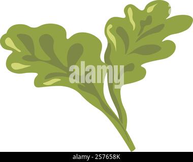 Frühlingslaub von Pflanzen oder Gemüsen, isoliertes üppiges Grün, Vegetation oder Dekoration. Gemüse oder Salatblatt, saisonales Laub von Bäumen oder Büschen, Sträucher von Wäldern oder Wäldern. Vektor in abgewickelter Form. Gemüse mit grünen Blättern, Frühlingsblattvektor Stock Vektor