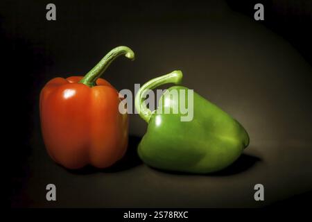 Ein Bild von einer roten und grünen Paprika noch Leben Stockfoto