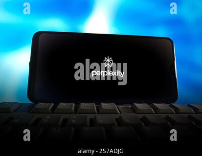 Eine Abbildung zeigt das Logo des US-amerikanischen Start-ups Perplexity AI in Shanghai, China, 19. Januar 2025. Stockfoto