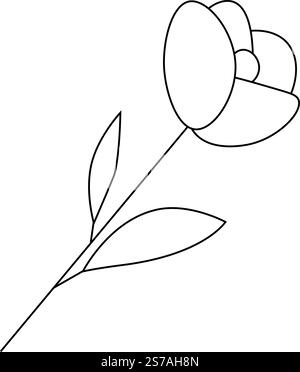 Vektorisolierte einfache Zeichnung mit minimalen Rosenknospen. Farblose schwarze Linie Rosenknospen Umrissskizze Illustration isoliert auf transparentem Hintergrund Stock Vektor