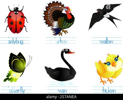 Lernspiele für Kinder Englisch. Der Name des Aussehens schreibt die Buchstaben. Stock Vektor