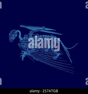 Blaues Bild eines Skeletts mit einem Drachen drauf. Das Skelett ist in einem blauen Farbschema dargestellt Stock Vektor