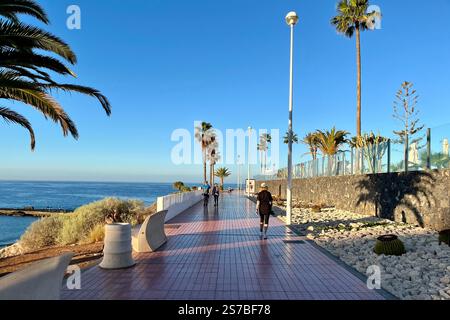 Abschnitt der von Palmen gesäumten Promenade an der Küste der Costa Adeje bei Playa de Fanabe. Teneriffa, Kanarische Inseln, Spanien. Januar 2025. Stockfoto