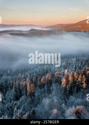 Aus der Vogelperspektive eines nebligen, schneebedeckten Waldes bei Sonnenaufgang Stockfoto