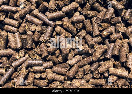 Katzenstreu aus Holzpellets, Hintergrund und Textur, Draufsicht. Hintergrund aus einem Futtermittelzusatzstoff für die Tierzucht. Stockfoto