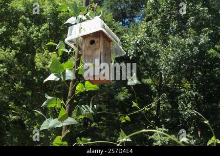 Einfaches hölzernes Vogelhaus in einem Garten Stockfoto