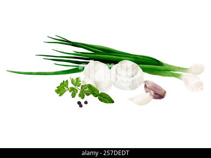 Champignonpilze und grüne Zwiebeln liegen neben Petersilienblättern. Digitale Illustration mit Aquarell. Knoblauchzehen und Küchenkräuter isoliert auf weißem b Stockfoto