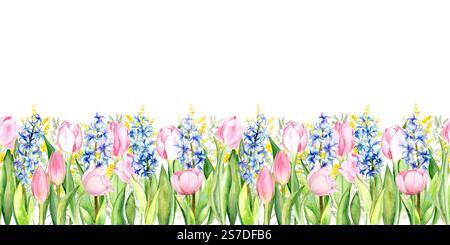 Nahtloser Rand. Aquarellkomposition von rosa Tulpen, blauen Hyazinthen und Mimosazweigen auf weißem Hintergrund. Helles und zartes Federdesign für Karten, Verpackungen, Textilien und Dekor Stockfoto