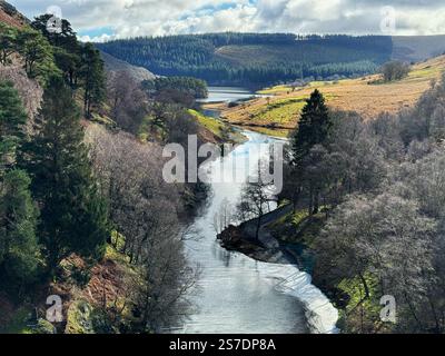 Blick vom Craig Goch Dam auf den Elan River, Elan Valley, Rhyader, Mid Wales Stockfoto