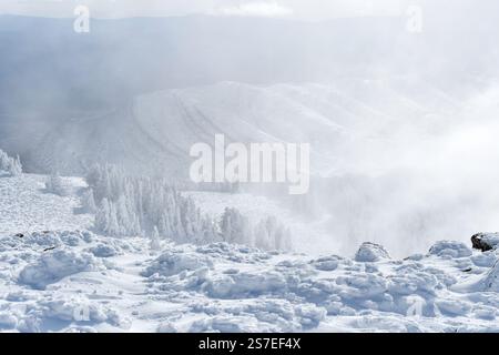 Malerischer Blick auf die schneebedeckten Zedernbäume des Blauen Atlas in Chelia Mountain in Algerien Stockfoto