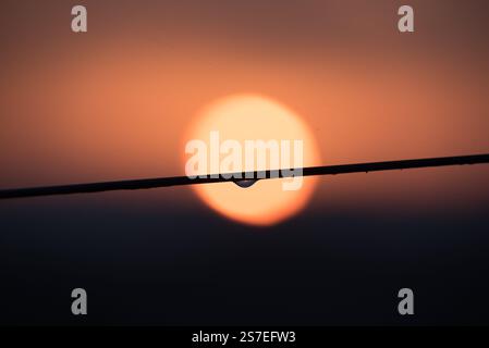 Wassertropfen hängen an einem Kabel, vor einem Sonnenuntergang, Sonne im Hintergrund sichtbar Stockfoto