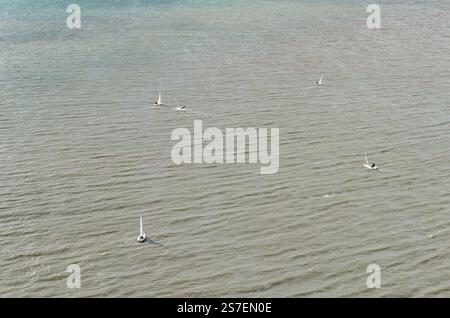 LISSABON, PORTUGAL - 8. NOVEMBER 2014: Aus der Vogelperspektive auf den Tejo in Lissabon, Portugal, mit Menschen, die Segelsport im Wasser üben Stockfoto