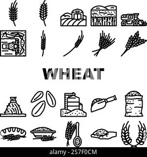 Weizen Getreide Pflanzen Symbole setzen Vektor. Gerstenbrot, Roggen, Lebensmittel aus biologischem Anbau, Getreide, Saatgut aus der Landwirtschaft, Reishafer Weizen Getreide Getreide Pflanze schwarze Kontur Illustrationen. Weizen Getreide Pflanzen Symbole setzen Vektor Stock Vektor