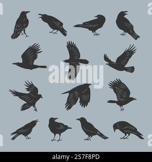 Krähen-Silhouetten. Fliegende dunkle mystische Ghotische Vögel mit Federn aktuelle Vektor-Illustrationen Set von Silhouette dunkle Krähe, schwarzer Raben. Krähen-Silhouetten. Fliegende dunkle mystische Ghotische Vögel mit Federn aktuelle Vektorillustrationen Set Stock Vektor
