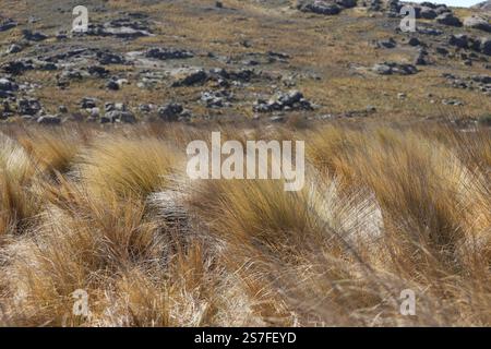 Eine vertraute Landschaft auf einer Wanderung in den Bergen bei Cordoba. Stockfoto