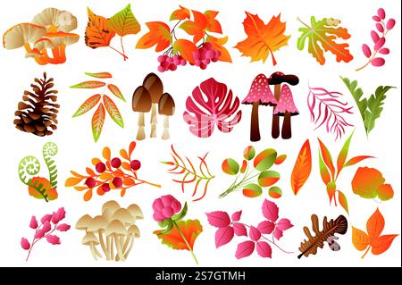 Herbstblätter und Pflanzen isoliert. Verschiedene Arten von Pilzen, Beeren und bunten gefallenen Blättern. Botanische Einrichtung im Wald. Bündel floraler Elemente. Vektorillustration in handgezeichnetem Design Stock Vektor