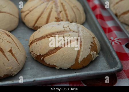 Pan de Concha. Mexikanisches Süßbrot an einem Street Food Stand in Oaxaca. Stockfoto