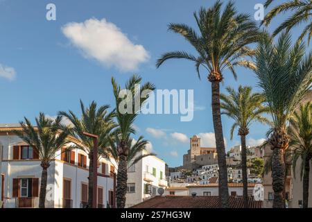 Historische Altstadt von Dalt Vila mit Blick auf die Kathedrale - Catedral de Santa Maria, auf der spanischen Insel Ibiza. Stockfoto
