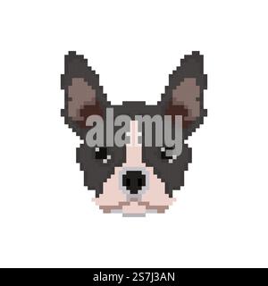 Französischer Bulldog-Kopf im Pixel-Art-Stil. Vektorgrafik Hund. Stock Vektor