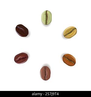 Realistische Kaffeebohnen in verschiedenen Farben im Kreis mit Platz für Text, isoliert auf weißem Hintergrund, Vektorillustration. Realistische Kaffeebohnen in verschiedenen Farben im Kreis mit Stock Vektor