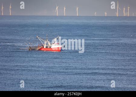 Ein Schneider mit angehobenen Schleppnetzen auf der Nordsee mit Windturbinen im Hintergrund Stockfoto
