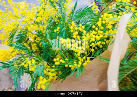 Blumenstrauß mit gelben Mimosa-Blüten, internationales Konzept für den Frauentag Stockfoto