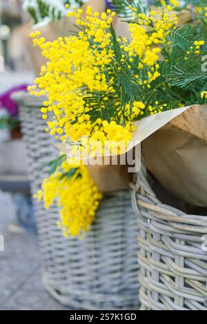 Blumenstrauß mit gelben Mimosa-Blüten, internationales Konzept für den Frauentag Stockfoto