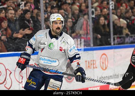 Eishockey DEL - 24/25 - 38. Spieltag: Kölner Haie vs Iserlohn Roosters am19.01.2025 im in der LANXESS Arena in Köln Iserlohns Colton Jobke ( Nr.77) Foto: Osnapix Stockfoto