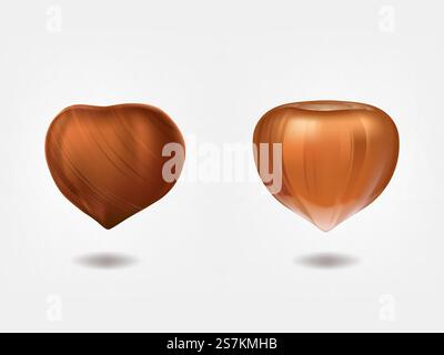 Reife und rohe Haselnüsse Vorderansicht 3D realistischer Vektor isoliert auf weißem Hintergrund. Filbert essbare Samen. Süßwaren, Diät Lebensmittel natürliche Zutat Reichweite für wertvolles pflanzliches Fett, Öl Illustration. Reife und getrocknete Haselnüsse 3D realistischer Vektor Stock Vektor