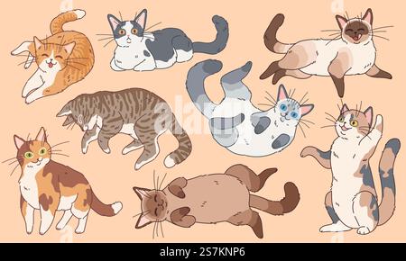 Niedliche Katzen. Lustige Kätzchen verschiedene Rassen, Haustiere schlafen und spielen Karikaturvektor Glückliche Kätzchen Gesicht Zeichnen Logo Zeichen Set. Niedliche Katzen. Lustige verschiedene Rassen Kätzchen, Haustiere schlafen und spielen Cartoon Vektor-Charaktere Set Stock Vektor
