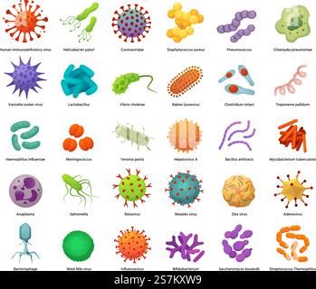 Bakterien- und Virussymbole. Krankheitsverursachende Bakterien, Viren und Mikroben. Farbkeime, Bakteriumtypen Vektor-Illustration Set. Coronavirus und Bakterium, Erreger Hepatovirus und zika. Bakterien- und Virussymbole. Krankheitsverursachende Bakterien, Viren und Mikroben. Farbkeime, Bakteriumtypen Vektor-Illustration Set Stock Vektor