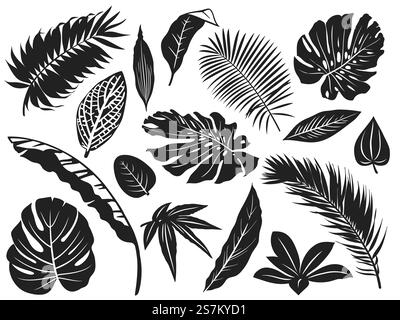 Silhouette tropischer Blätter. Palmenblatt, Kokospalmen und Monstera Blätter schwarze Silhouetten Vektor Illustration Set. Einfarbige Silhouette in schwarzem tropischem Dschungel-Grün. Silhouette tropischer Blätter. Palmenblatt, Kokospalmen und Monstera Blätter schwarze Silhouetten Vektor Illustration Set Stock Vektor