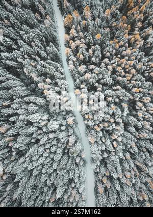 Aus der Vogelperspektive auf den South Fork des Coeur d'Alene River am Lookout Pass, der Staatsgrenze von Idaho-Montana Stockfoto
