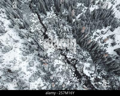 Aus der Vogelperspektive auf den South Fork des Coeur d'Alene River am Lookout Pass, der Staatsgrenze von Idaho-Montana Stockfoto