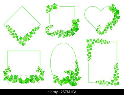 Efeeugrün-Blätter-Rahmen. Grenzen von immergrünen Pflanzen verschiedener Formen isoliert auf weißem Hintergrund. Zweig-Rebzweige auf Raute, Quadrat, Ellipse, Herz und Rechteck setzen Vektor-Illustration. Efeeugrün-Blätter-Rahmen. Grenzen von immergrünen Pflanzen verschiedener Formen isoliert auf weißem Hintergrund Stock Vektor