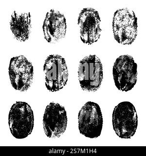 Fingerabdrücke. Menschliche Fingerabdrücke mit realistischer schwarzer Tinte. Textur mit Handmarkierung schleifen. Identifikation einzelner Abdruck Daumenlinien Vektorsatz. Einzigartige Markierung mit Kurven und Wirbeln. Persönliches Impressum. Fingerabdrücke. Menschliche Fingerabdrücke mit realistischer schwarzer Tinte. Textur mit Handmarkierung schleifen. Identifikation einzelner Abdruck Daumenlinien Vektorsatz Stock Vektor