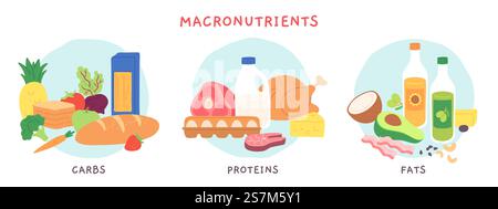 Food macronutrients. Fat, carbohydrate and protein foods groups with fruits and dairy products. Nutrient complex diet vector infographic. Illustration eating ingredient, grocery nutrition for cooking. Food macronutrients. Fat, carbohydrate and protein foods groups with fruits and dairy products. Nutrient complex for diet vector infographic Stock Vektor