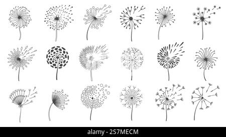 Löwenzahn-Samen blasen. Silhouetten aus flauschigen Wunschblumen, Frühlingsblüten-Löwenzahn, vom Wind geweht. Vektor-Set mit Blumenmuster in der Natur. Fliegen verschiedener Pflanzenknospen isoliert auf weiß. Löwenzahn-Samen blasen. Silhouetten aus flauschigen Wunschblumen, Frühlingsblüten-Löwenzahn, vom Wind geweht. Vektor-Set mit Blumenmuster in der Natur Stock Vektor