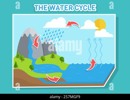 Wasserkreislaufdiagramm. Vektor zeigt den Wasserkreislauf von Wassertropfen bis zu Regentropfen an. Stock Vektor
